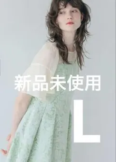 値下げ　新品　Dorry Doll ラッフルスリーブジャガードドレスのサムネイル