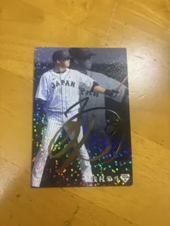 Item thumbnail for item 9567c65e-a815-4813-a2fd-f7751dea6646