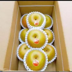 とりたて新鮮 甘すぎる新甘泉 10kg - メルカリ