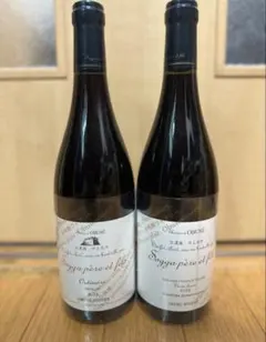 2本セット 自然派ワイン モーペルチュイ　ネイロー　赤 750ml 2本セット 自然派ワイン モーペルチュイ ネイロー 赤 750ml - メルカリ