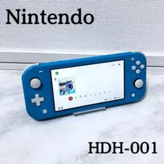 動作確認済 Nintendo Switch Lite ターコイズ HDH-001