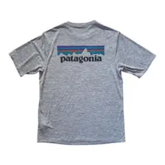 patagonia キャプリーン クールデイリー グラフィック 20年製 S