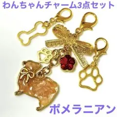 わんちゃん チャーム 3点set リボン ポメラニアン