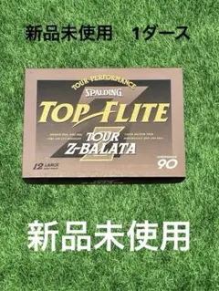 Item thumbnail for item 0087887f-2fca-4737-a5e9-0b894c70d670