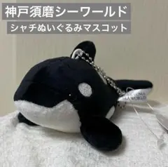 神戸須磨シーワールド限定 シャチマスコット（黒）