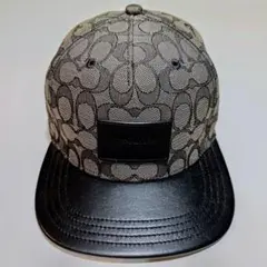 Item thumbnail for item 1f792253-783d-4c0e-a668-363e0803ebc8