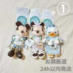 ★新品未使用タグ付き★TDS限定　ぬいぐるみバッジ　24周年セット ☆新品未使用タグ付き☆TDS限定 ぬいぐるみバッジ 24周年セット