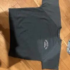 緑 tシャツ