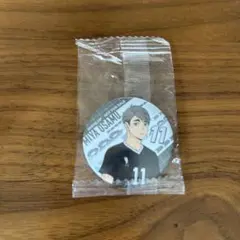 くら寿司コラボ　缶バッチ　ハイキュー　宮治