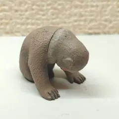 ZOO ZOO ZOO 第5弾 へこむわ寝 ニホンザル