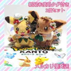 ポケパーク カントー ピカチュウ イーブイ 2体セット ぬいぐるみ 新品