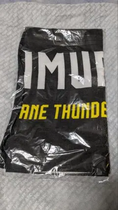 群馬クレインサンダーズ　八村阿蓮　アクリルスタンド　2つセット 2025年最新】八村阿蓮の人気アイテム - メルカリ