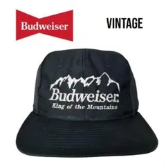 Item thumbnail for item c6e27ab4-a775-48ac-9c56-c5afe861d2c4