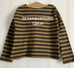 OCEAN&GROUND ロンT 120cm
