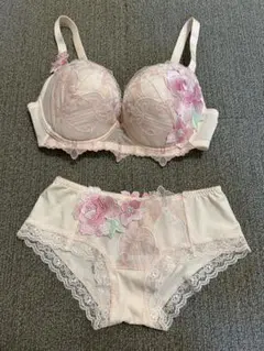 ワコール パルファージュ フロントエックスプラス E65 ショーツМ BE