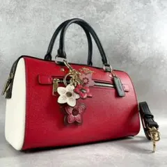 ✨稀少✨極美品✨コーチ　ローアンサッチェル　ショルダーバッグ 2way