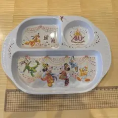 東京ディズニーリゾート 40周年 スーベニアプレート