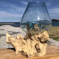 流木ガラス オブジェ特大V 花瓶 金魚鉢 ガーデニング テラリウム 観賞魚 容器