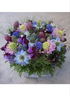 ふっわ様　専用