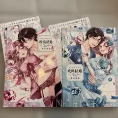 ホントは恋する政略結婚(上、下)