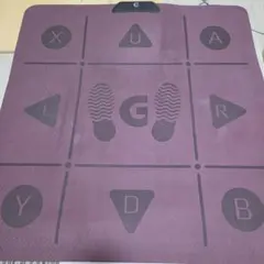 GAMR Active Gaming Play Pad【非公式DDRコン】