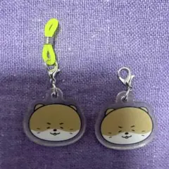 2025年最新】ミニティーン seventeen ディノの人気アイテム - メルカリ