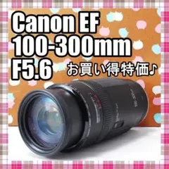 ✨訳あり特価✨Canon EF 100-300mm F5.6のサムネイル