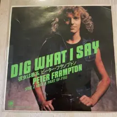 【EP385】DIG WHAT I SAY