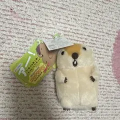 マーモットのもっとっと もっとっと アミューズメント景品 クレーンゲーム
