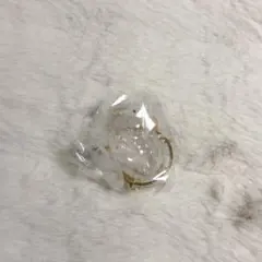 うちの子けだまだま ガチャガチャ 犬 プードル