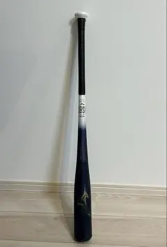 Item thumbnail for item 09d10720-d0a6-4ddd-9bc4-368a546ac7e2