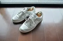 NIKE DUNK LOW "Grey Fog" 29cm US11