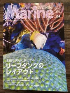 Item thumbnail for item c277641e-9590-4445-af53-c77e75faed3c