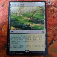 MTG 吹きさらしの荒野/Windswept Heath 英語版 - メルカリ