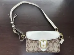 ✨美品✨COACH 2way ダビー ショルダーバッグ スネーク ヘビ レザー 