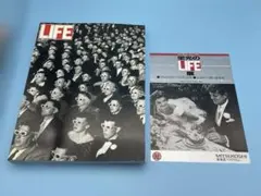 Item thumbnail for item 72205f95-df8e-4239-89b1-2b7715d0c88b