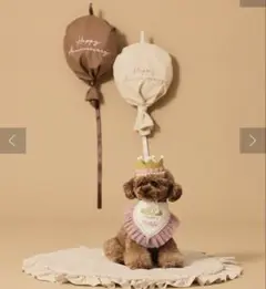 Item thumbnail for item 8764b902-a1f7-4cb6-8e39-8dbe9bdc76a9