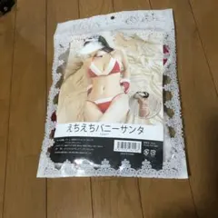 えちえちバニーサンタのサムネイル