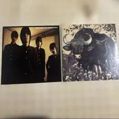 michelle gun elephant 7inch Vinyl Box - メルカリ