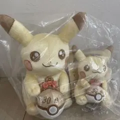 ポケモン 30th Anniversary ピカチュウ ぬいぐるみセットのサムネイル