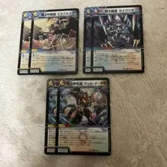 サイクリタ ミラクルスZ ヴィルドテラ ヴォルグイソレイト 各2枚