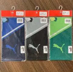 Item thumbnail for item 66a21dd5-09e7-415b-8692-8d18e664967e