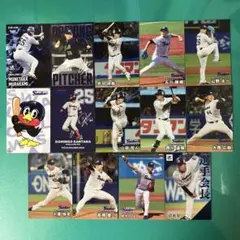 プロ野球チップスカード 東京ヤクルトスワローズ 14枚セット
