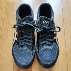 アシックス 陸上スパイク EFFORT 13 1093A 167 25.5cm