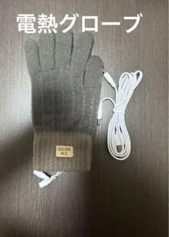 冬用速暖 手袋 裏起毛 電熱グローブ USB給電式 冬用 防寒 スマホ対応