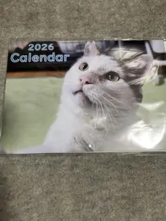 Item thumbnail for item 89e224c7-a6d5-4b4d-8ffc-bdf59b3534f6