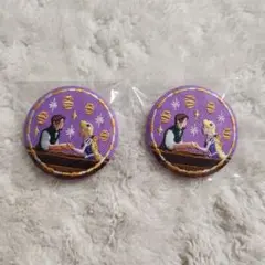 ディズニーキャラクターズ 刺繍缶バッジ ラプンツェル 2点セット