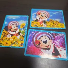 東京ディズニーリゾート　コレクションカード　イマジニング・ザ・マジック　ミニー