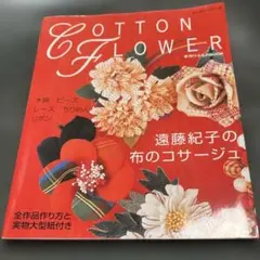 Item thumbnail for item 66008fbc-8389-4668-92b2-0b38cada1ce1