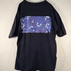 Item thumbnail for item 4b75c10c-3194-4ec7-ae2a-aa6cf459888a